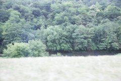 3_small396