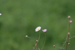 3_small545