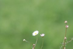3_small546