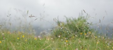 1_small05