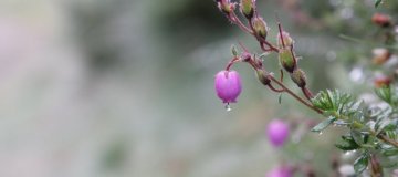 1_small59