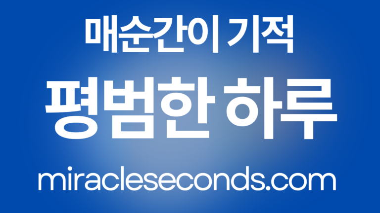 평범한 하루