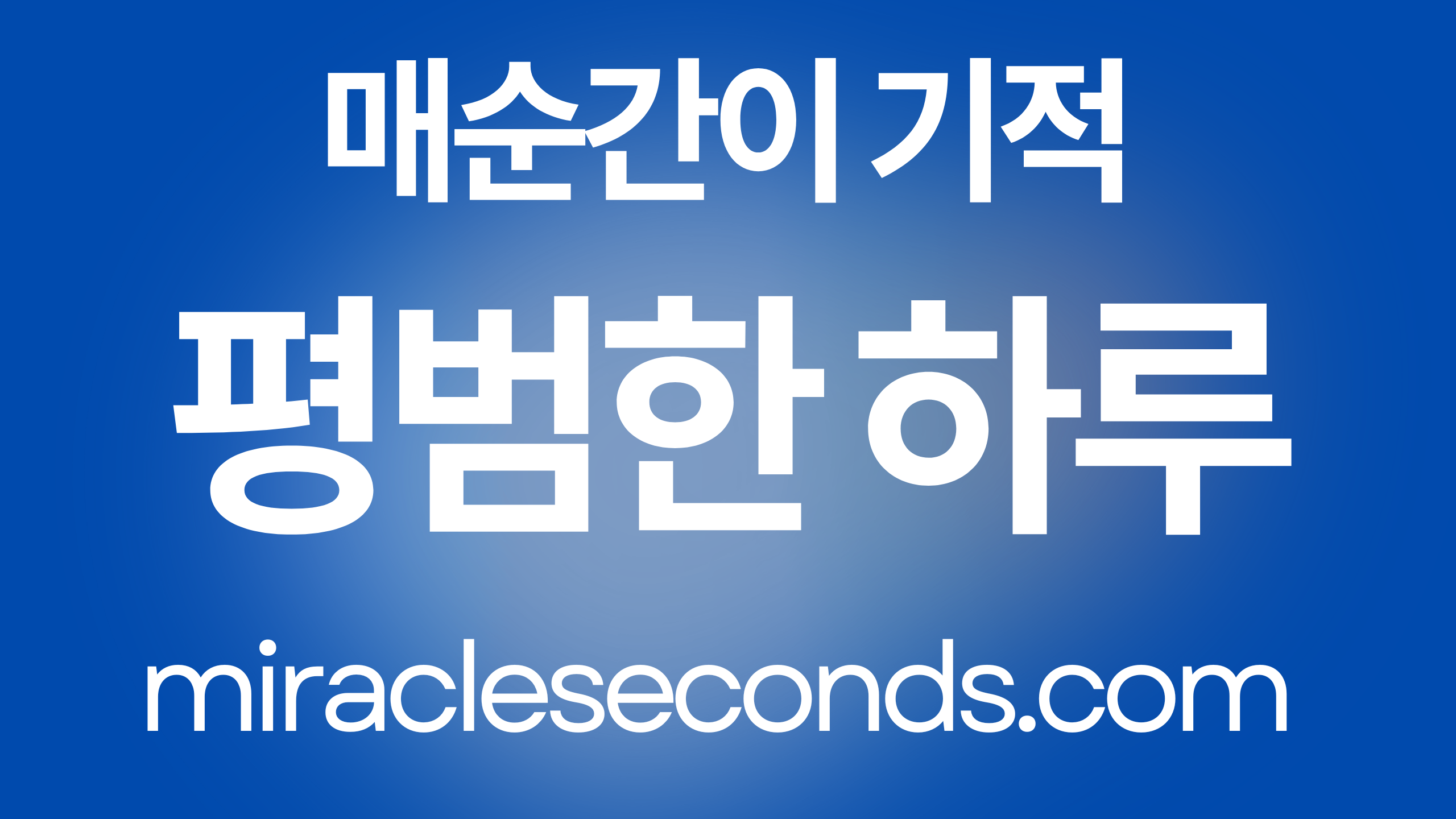 평범한 하루