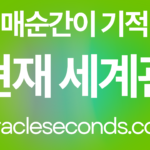 현재 나의 세계관