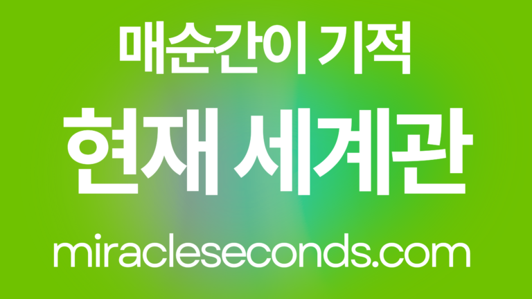 현재 나의 세계관